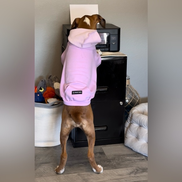 Spark Paws Essential Dog Hoodie - Lavender Size XLarge Worn  3x’s. - Picture 12 of 16